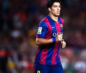 开云官方app入口-范弗利特生死战爆发，尼克斯力克北京队锁定关键胜利