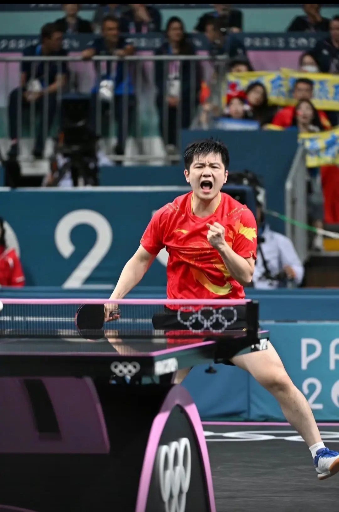 瑞典队力克奥地利队,樊振东高光表现 瑞典队力克奥地利队,樊振东高光表现