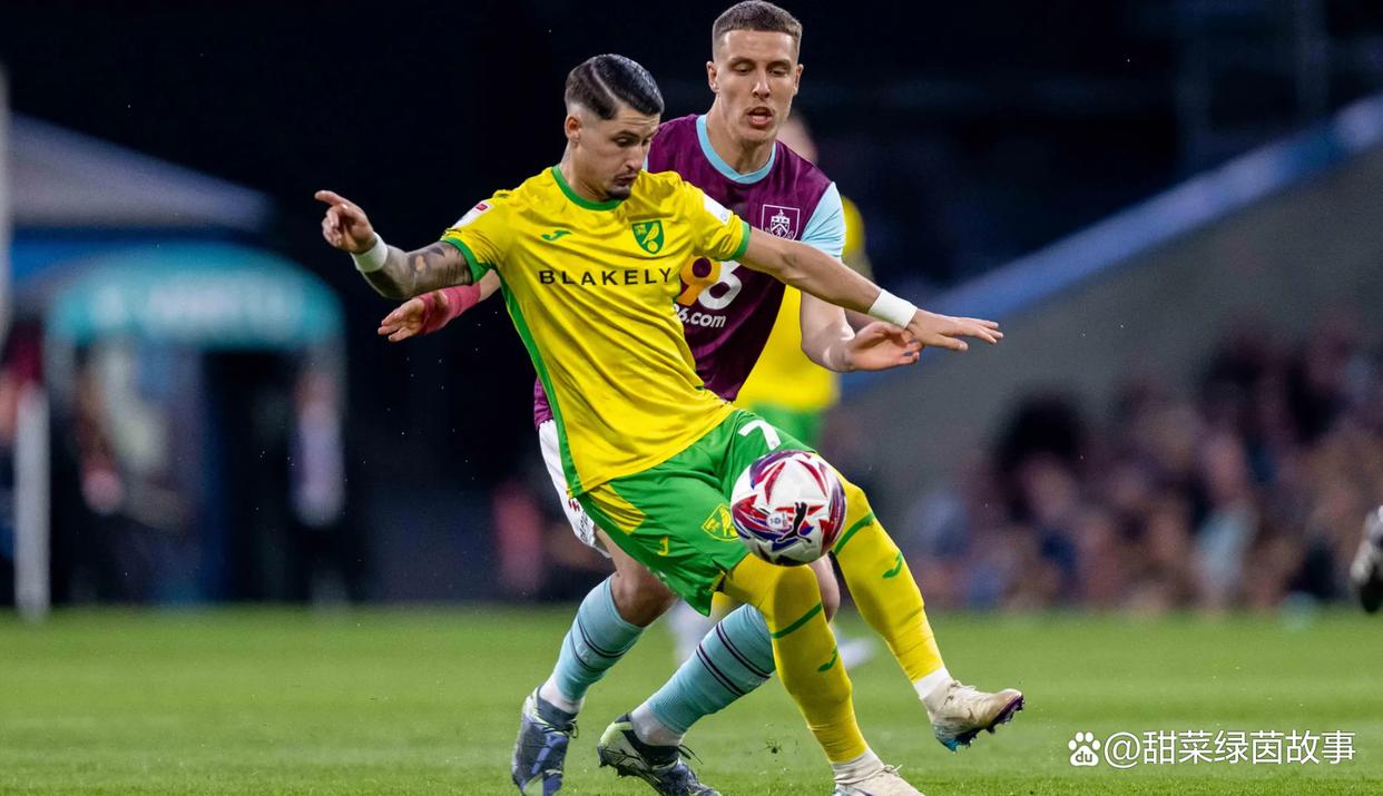 诺维奇联客场抢分成功,保级前景良好 诺维奇联客场抢分成功,保级前景良好