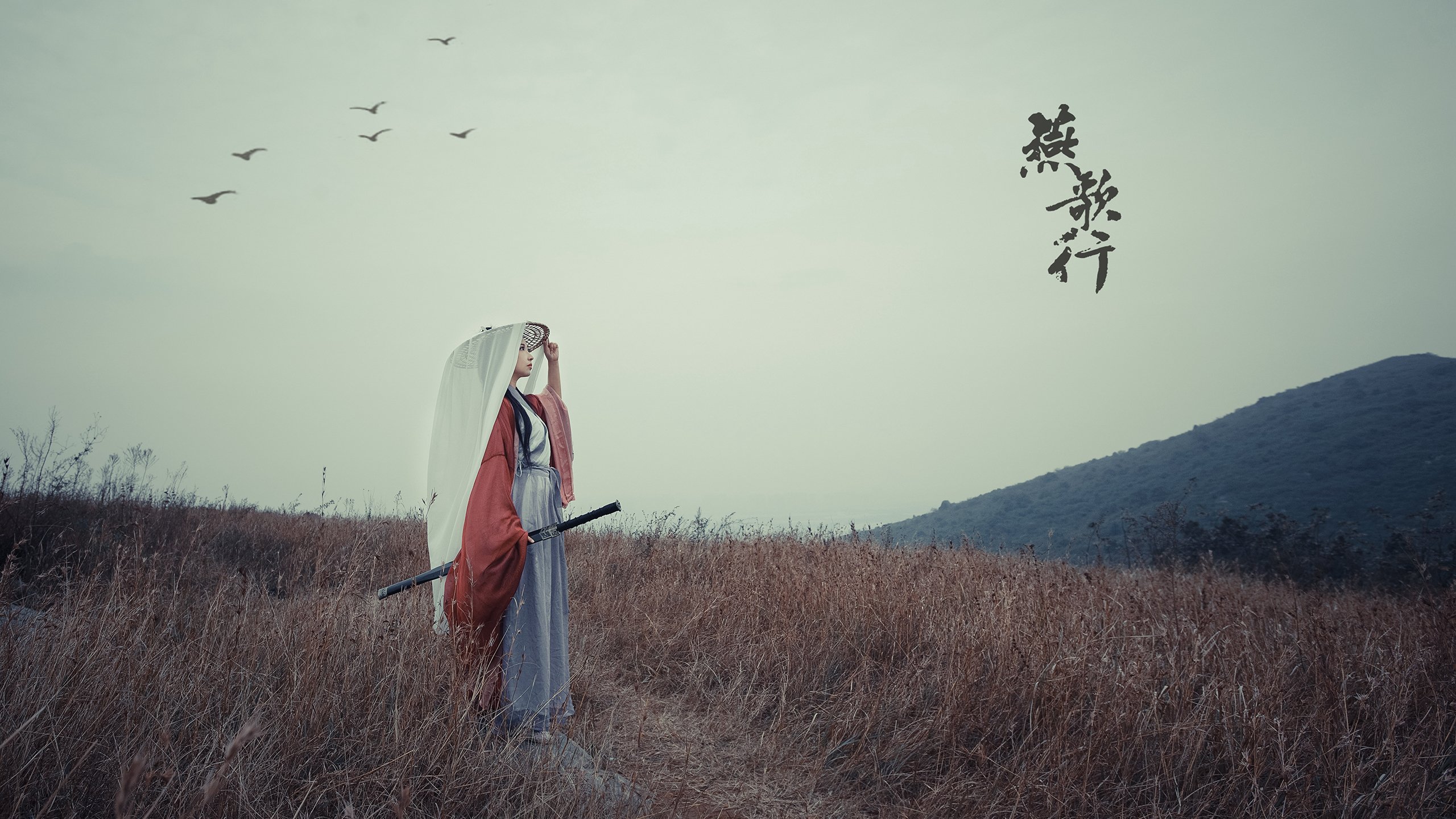 2026世界杯焦点战,C罗最后一舞,葡萄牙加时鏖战淘汰奥地利